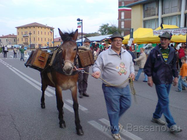 Adunata Alpini BAssano 2008 MK-155.JPG